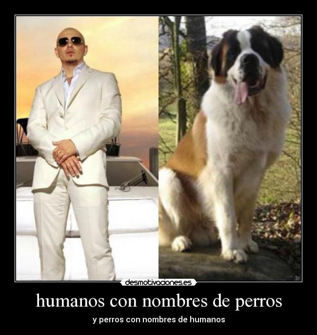 carteles chica666 desmotivaciones