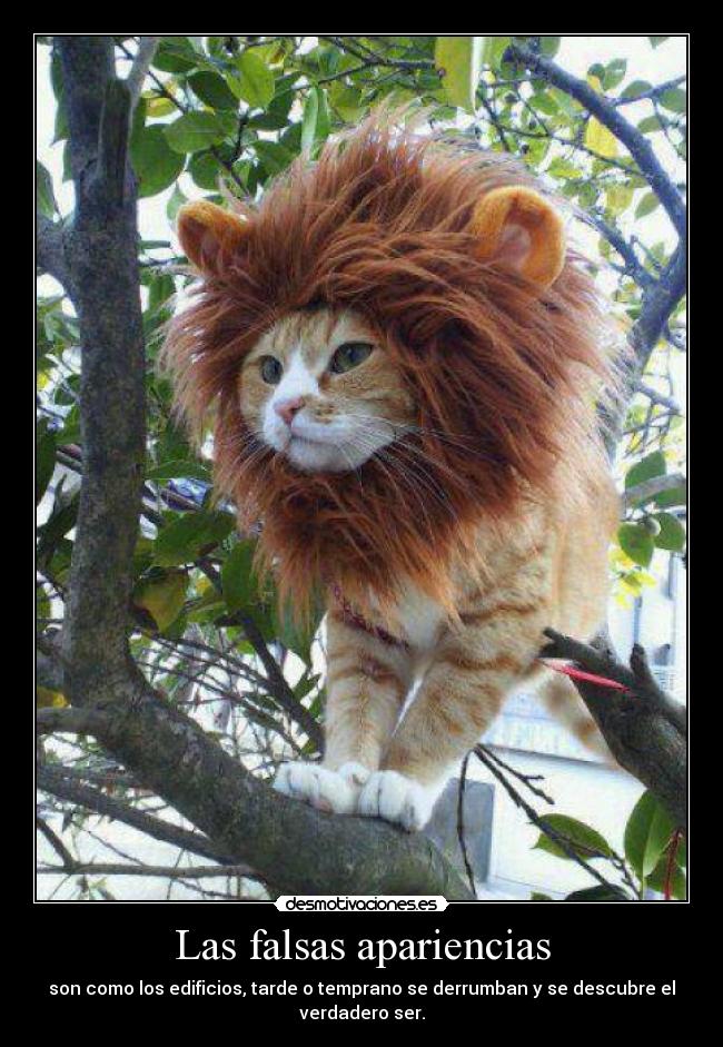 Las falsas apariencias - 