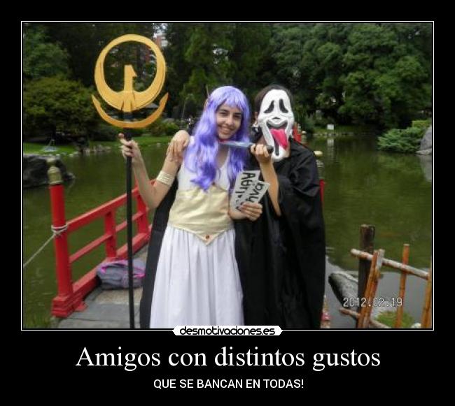 carteles amigos amigos desmotivaciones