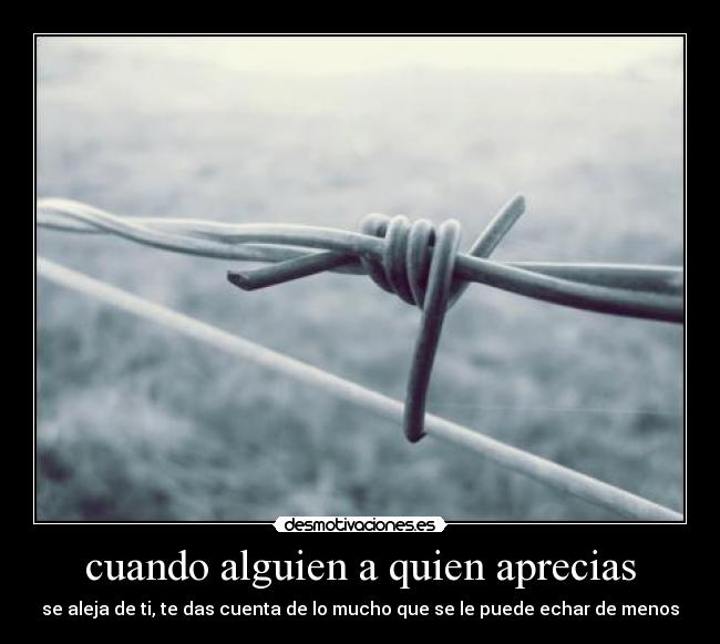 cuando alguien a quien aprecias -