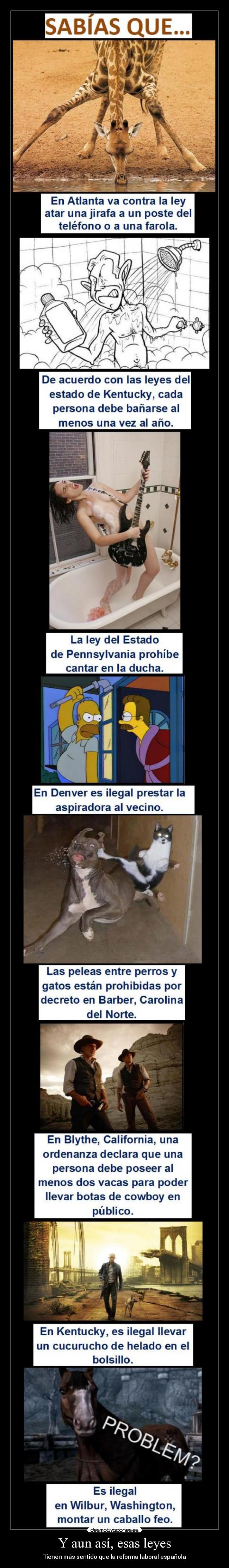 Y aun así, esas leyes - 