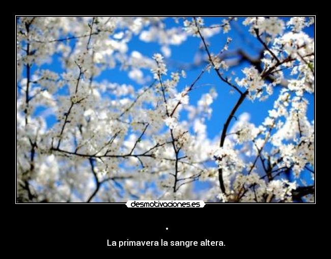 . - La primavera la sangre altera.