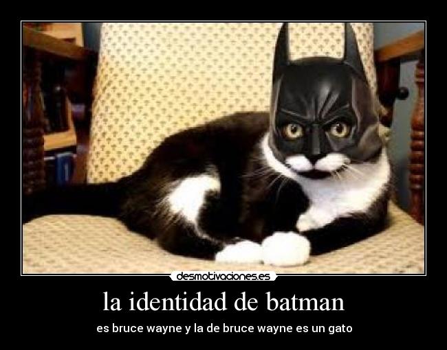 la identidad de batman - es bruce wayne y la de bruce wayne es un gato