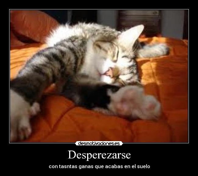 Desperezarse -