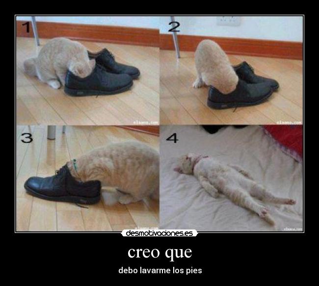 creo que -
