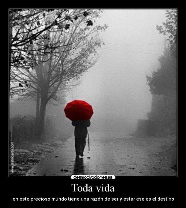 carteles vida destino desmotivaciones