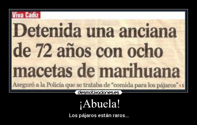 ¡Abuela! - Los pájaros están raros...