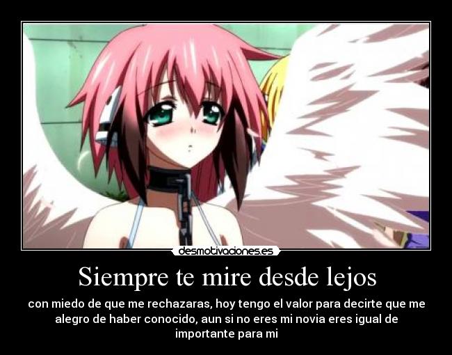 Siempre te mire desde lejos - con miedo de que me rechazaras, hoy tengo el valor para decirte que me
alegro de haber conocido, aun si no eres mi novia eres igual de
importante para mi