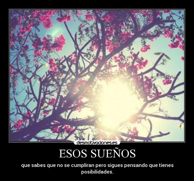 ESOS SUEÑOS - que sabes que no se cumpliran pero sigues pensando que tienes posibilidades.
