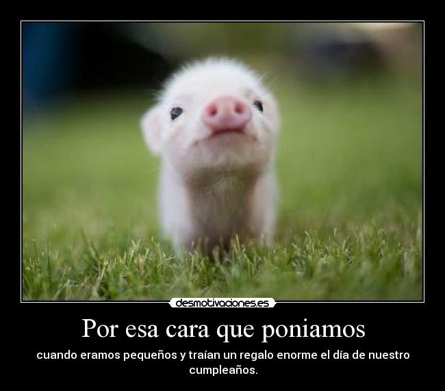 Por esa cara que poniamos -