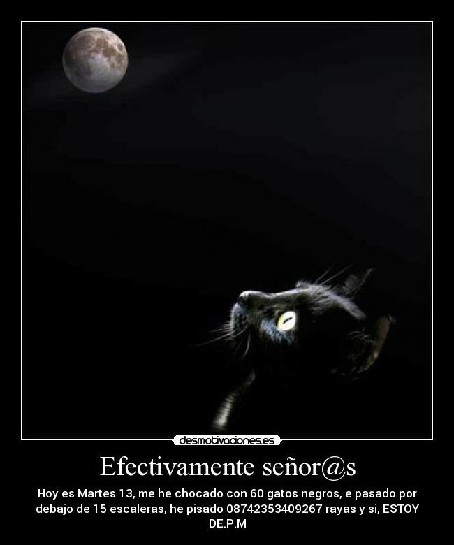 Efectivamente señor@s - Hoy es Martes 13, me he chocado con 60 gatos negros, e pasado por
debajo de 15 escaleras, he pisado 08742353409267 rayas y si, ESTOY
DE.P.M