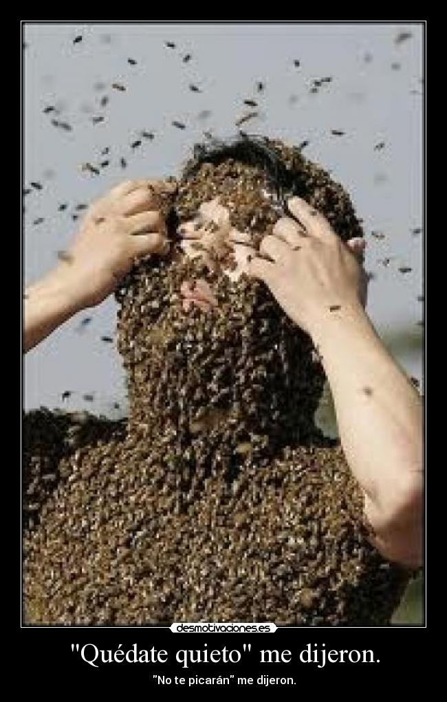 Quédate quieto me dijeron. -