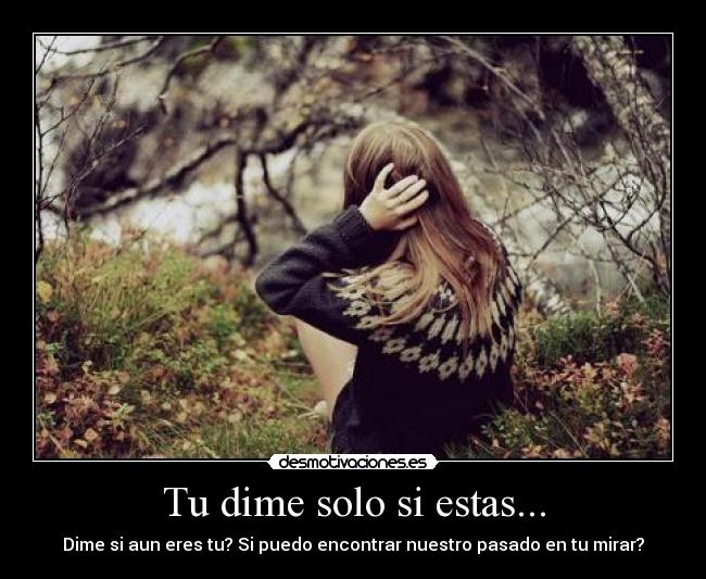 Tu dime solo si estas... -