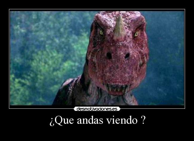 ¿Que andas viendo ? -