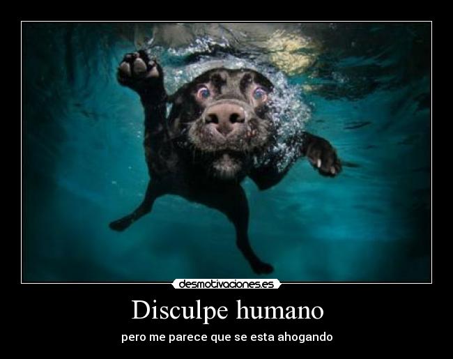 Disculpe humano - pero me parece que se esta ahogando