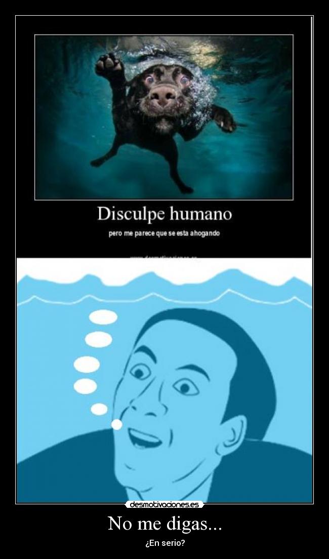 No me digas... - ¿En serio?