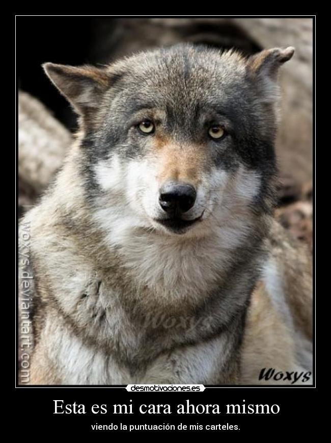 Esta es mi cara ahora mismo -