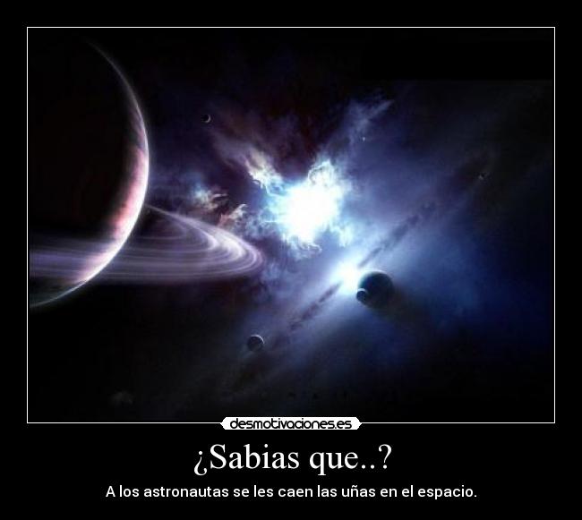 ¿Sabias que..? - 