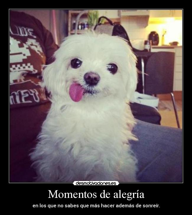 Momentos de alegría - 