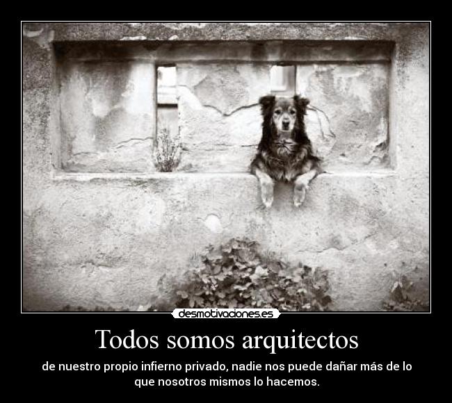 Todos somos arquitectos - 