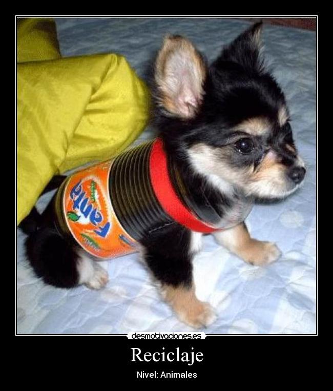 Reciclaje - Nivel: Animales