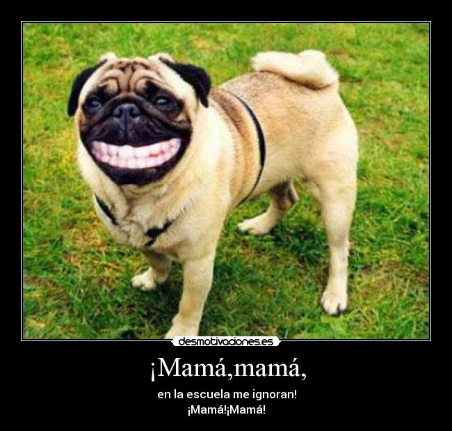 ¡Mamá,mamá, - en la escuela me ignoran!
¡Mamá!¡Mamá!