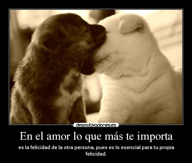 En el amor lo que más te importa -