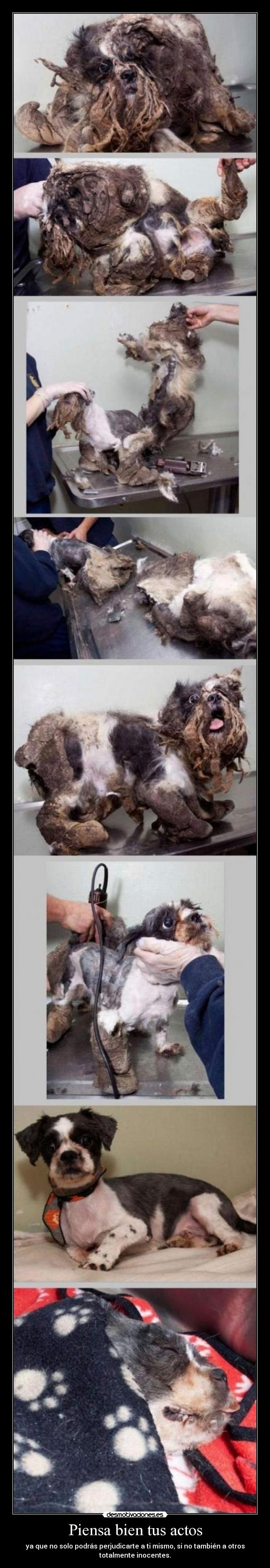 Piensa bien tus actos -