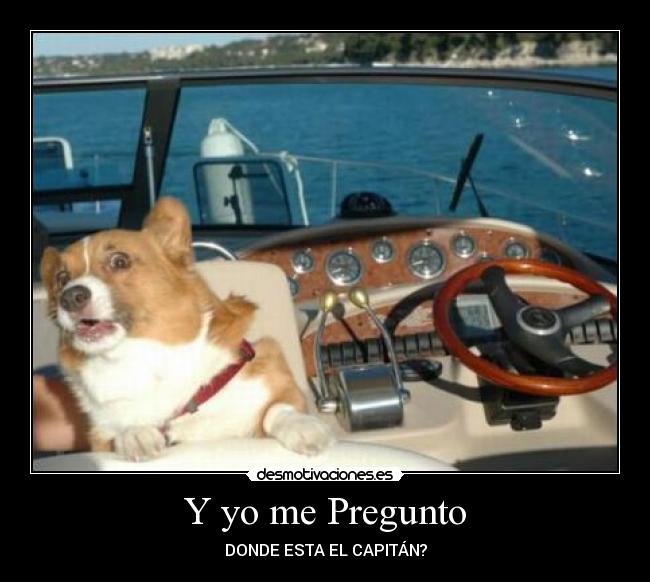carteles pregunto donde esta capitan barco perro theoldschool desmotivaciones