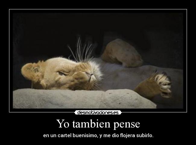Yo tambien pense - 