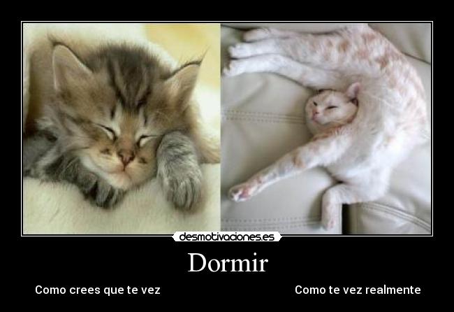 Dormir -