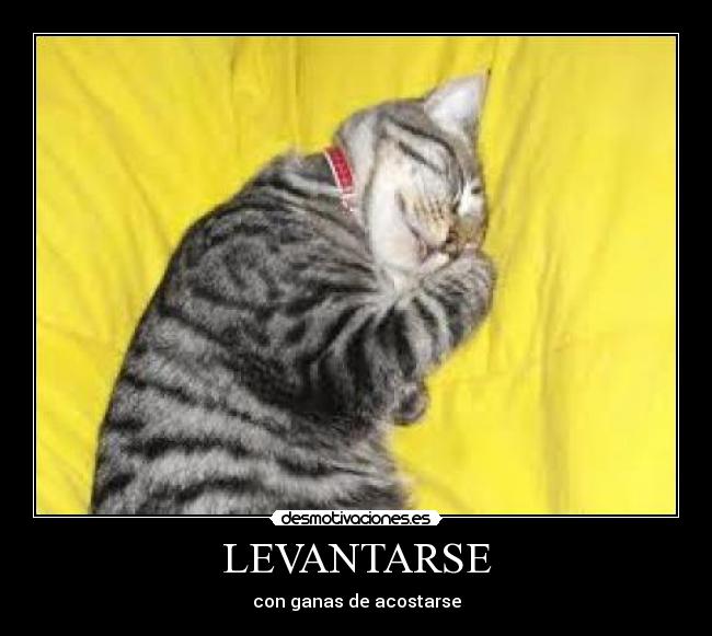 LEVANTARSE - con ganas de acostarse