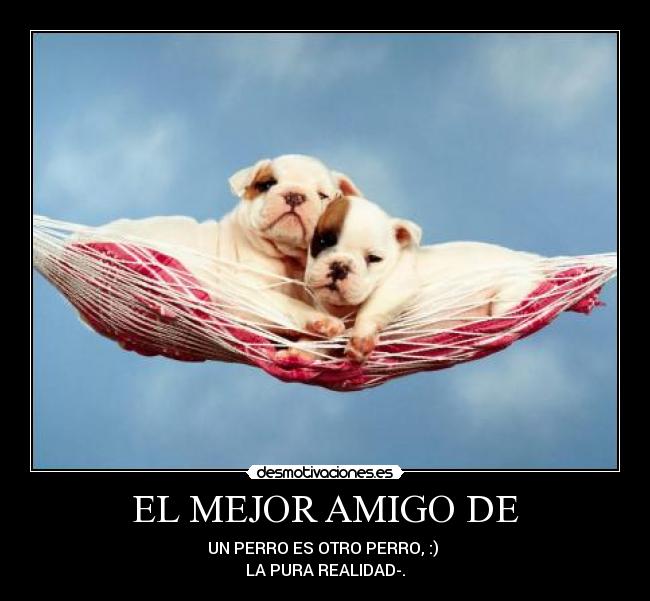 EL MEJOR AMIGO DE - 