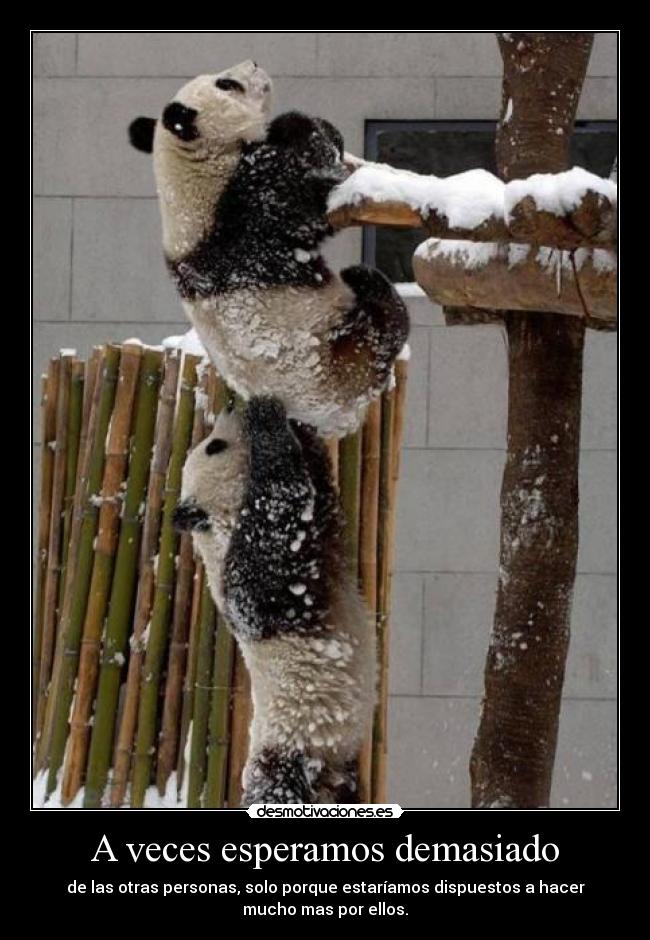 carteles juan camilo manco desmotivaciones