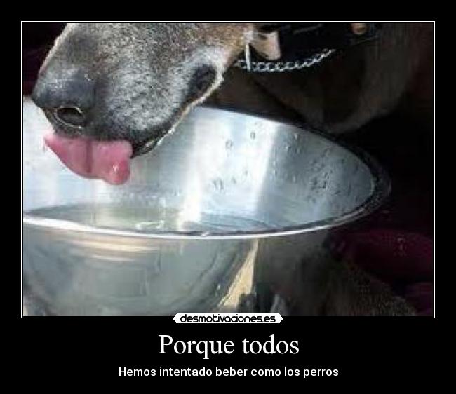 Porque todos - Hemos intentado beber como los perros