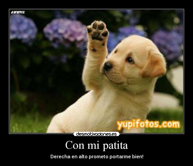Con mi patita -