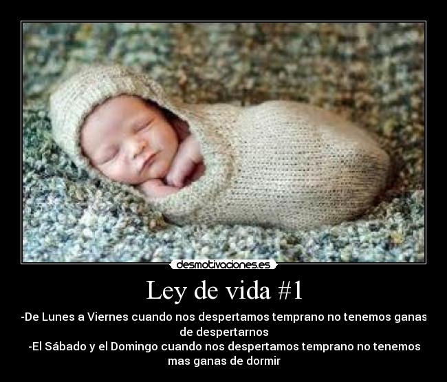 Ley de vida #1 - -De Lunes a Viernes cuando nos despertamos temprano no tenemos ganas
de despertarnos
-El Sábado y el Domingo cuando nos despertamos temprano no tenemos
mas ganas de dormir