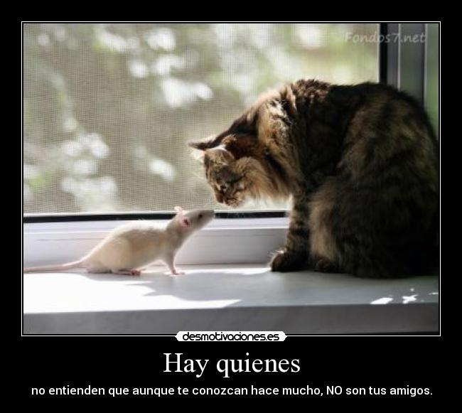 Hay quienes - no entienden que aunque te conozcan hace mucho, NO son tus amigos.