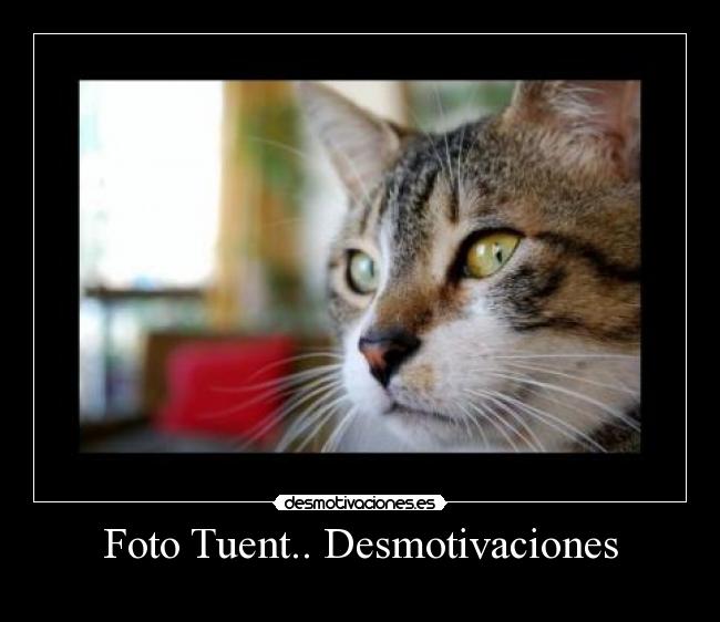 Foto Tuent.. Desmotivaciones - 