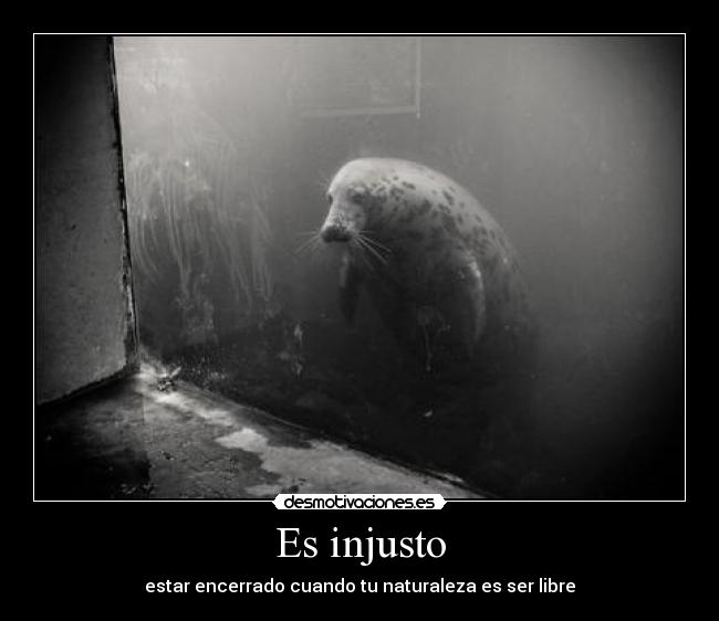 Es injusto -