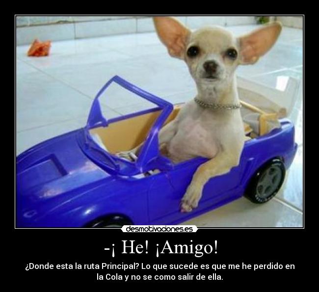 -¡ He! ¡Amigo! - ¿Donde esta la ruta Principal? Lo que sucede es que me he perdido en
la Cola y no se como salir de ella.