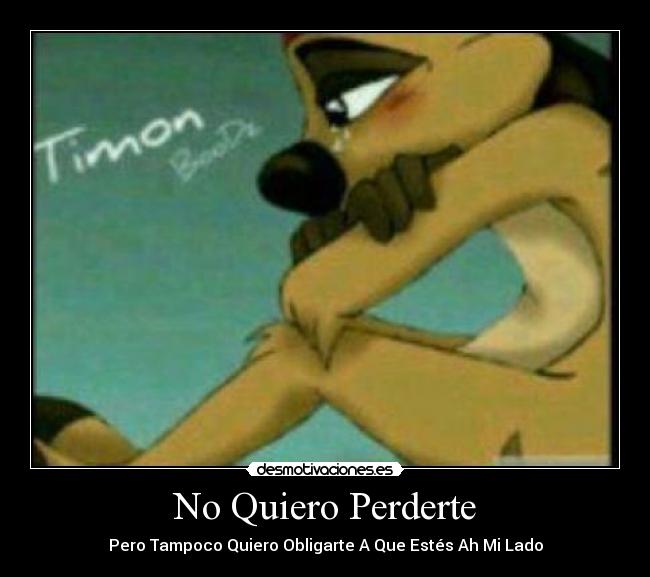 No Quiero Perderte -