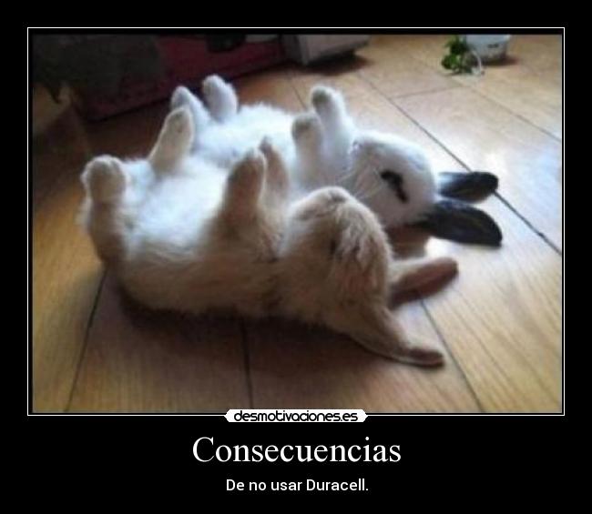 Consecuencias - 