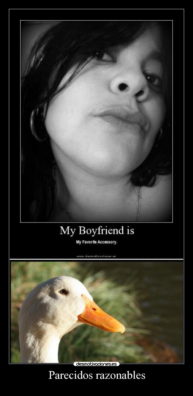 Parecidos razonables -