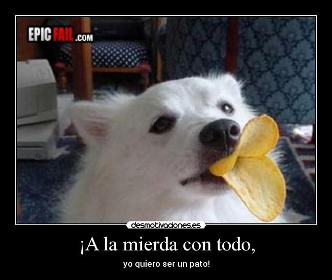 ¡A la mierda con todo, - 