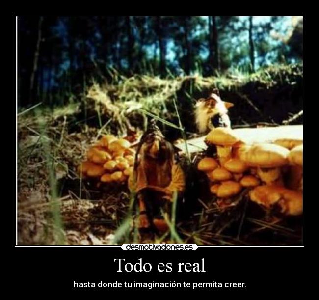 Todo es real -