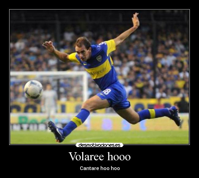 Volaree hooo - Cantare hoo hoo