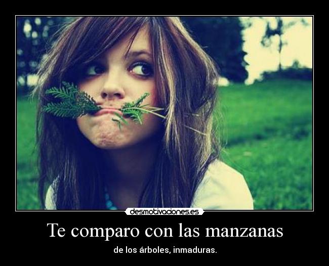 Te comparo con las manzanas - de los árboles, inmaduras.