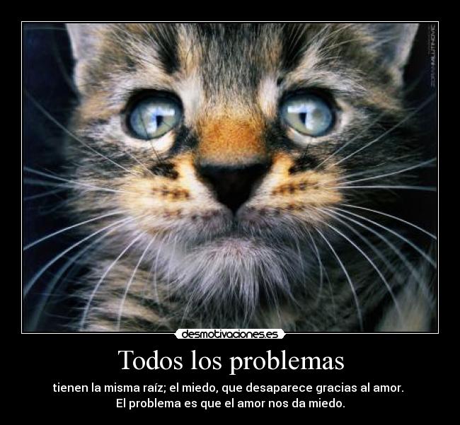Todos los problemas - tienen la misma raíz; el miedo, que desaparece gracias al amor.
El problema es que el amor nos da miedo.