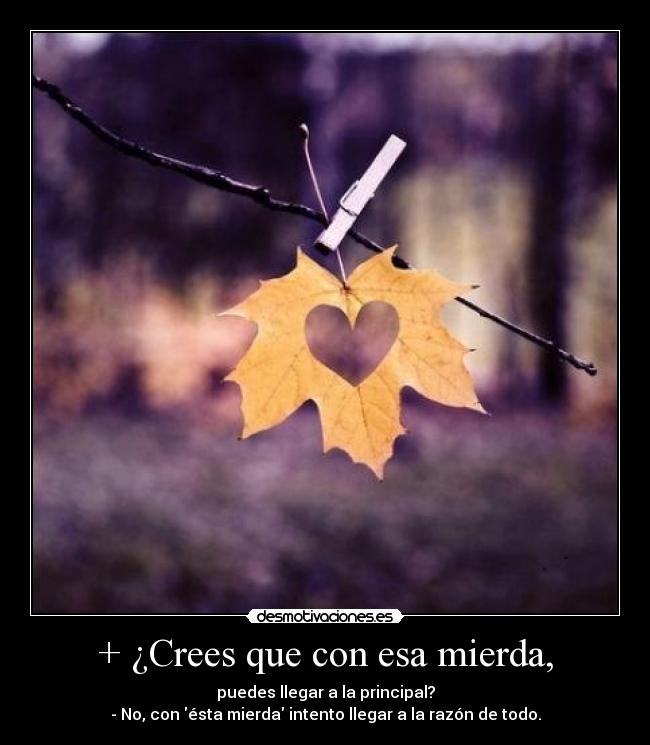 carteles imbecil desmotivaciones